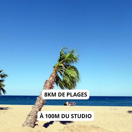 Appartement A 100M De La Plage - Terrasse & Parking Prive Le Barcarès المظهر الخارجي الصورة