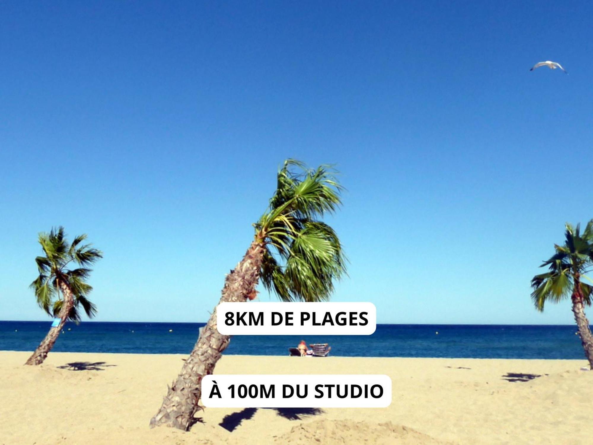 Appartement A 100M De La Plage - Terrasse & Parking Prive Le Barcarès المظهر الخارجي الصورة